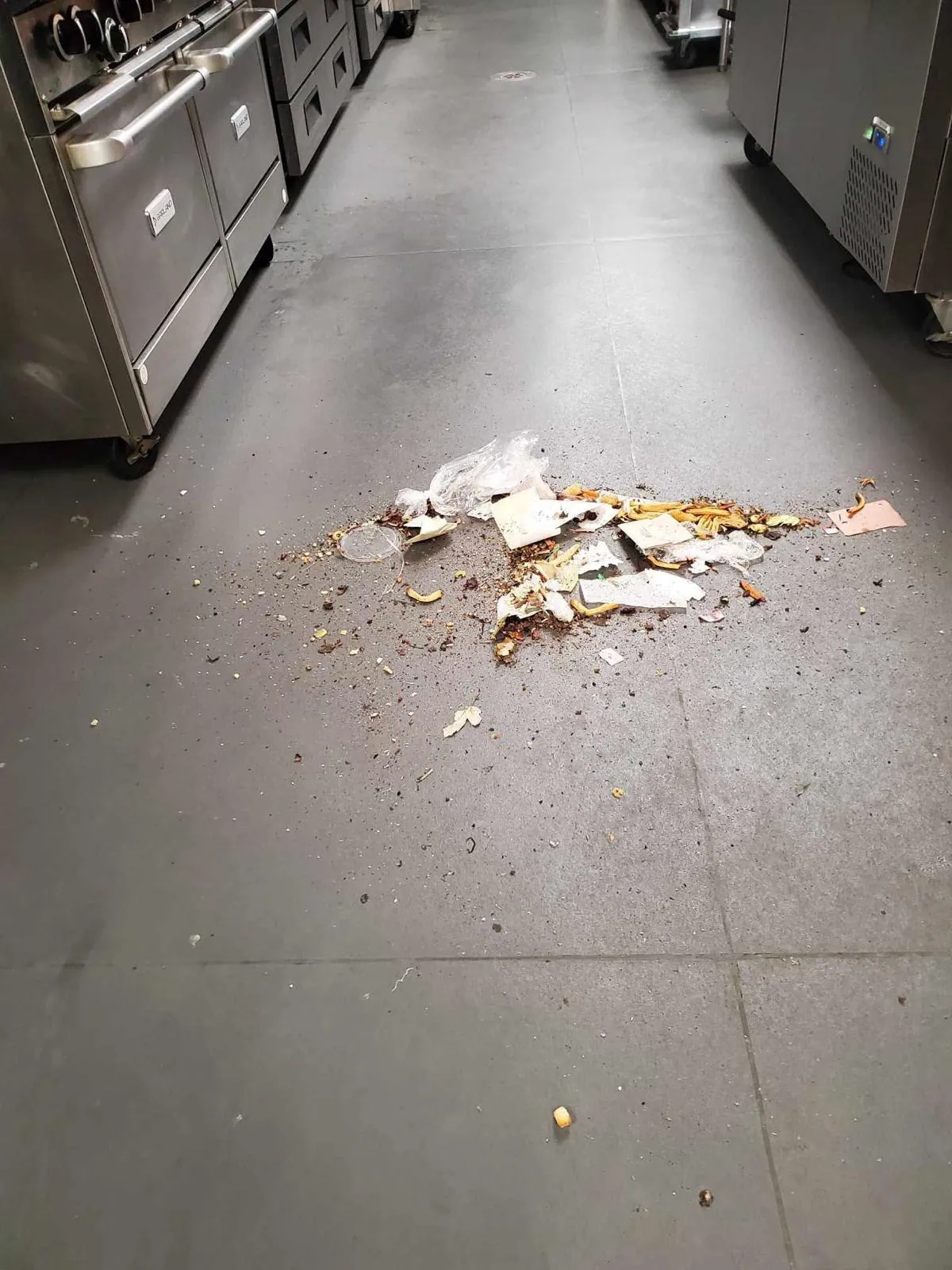 Everpure Cleaning before work kitchen